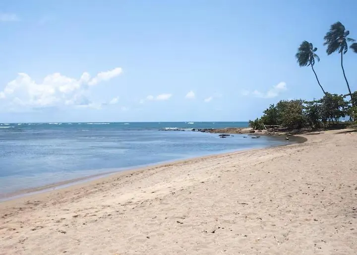 New ! Beachfront Villa - Golf, Pool & Ocean View Dorado Porto Rico