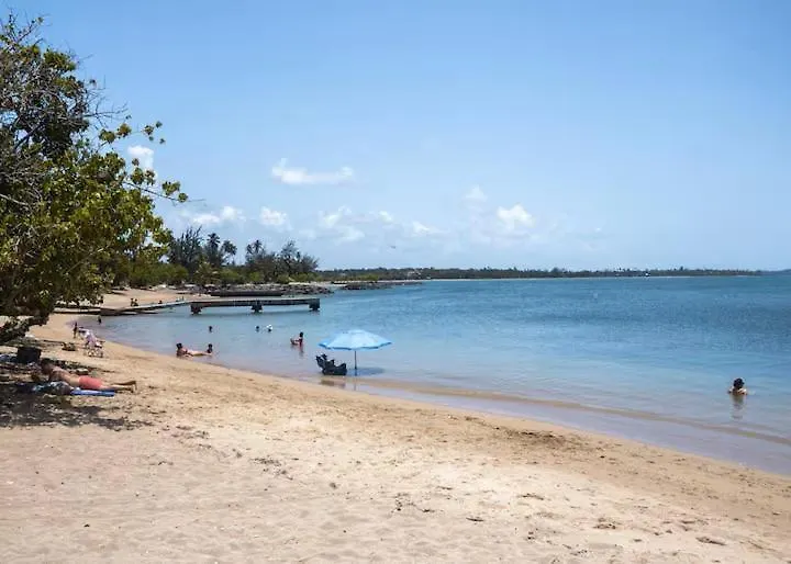 New ! Beachfront Villa - Golf, Pool & Ocean View Dorado Dom wakacyjny